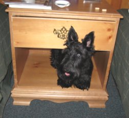 Nessie in Furniture Nessie in Furniture