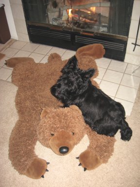 Nessie and Bear Nessie and Bear